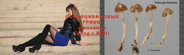 не бодяженный Строитель