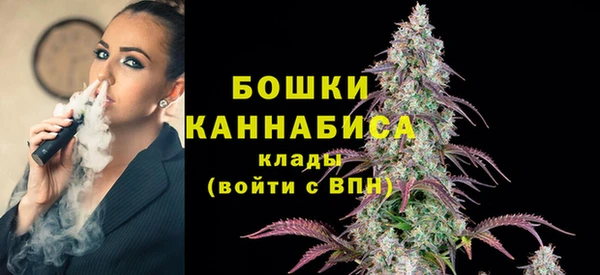 спиды Печоры